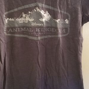Disney's Animal Kingdom XL graphic grey mountains